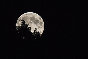 Levé de lune sur les Vosges_1